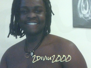 2diviu2000