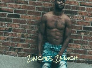 2inches_2much