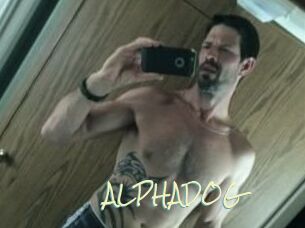 ALPHADOG