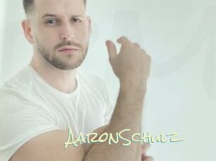 AaronSchulz