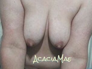 AcaciaMae