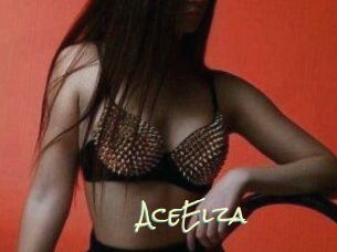 Ace_Elza