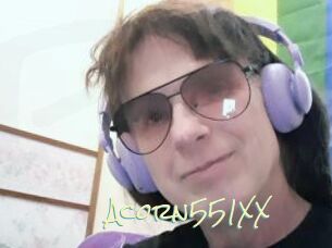 Acorn551XX