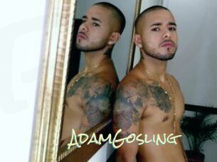 AdamGosling