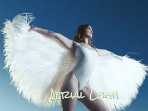 Aerial_Leigh