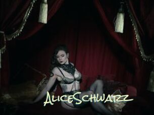 AliceSchwarz