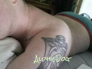 Alphie_Dog