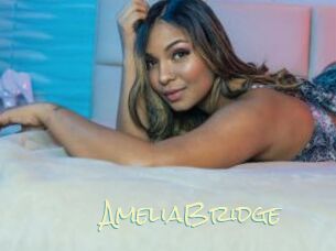 AmeliaBridge