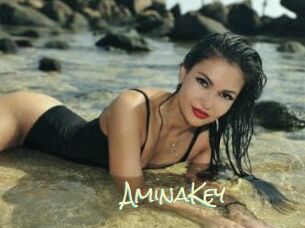 AminaKey