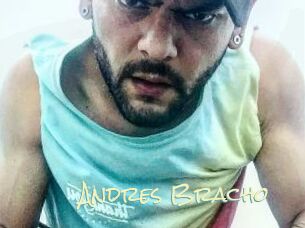 Andres_Bracho