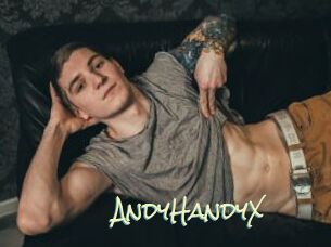 AndyHandyX