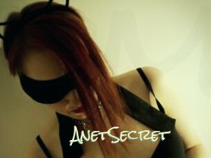 AnetSecret