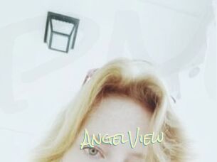AngelView