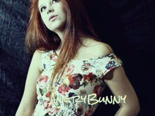 AngryBunny