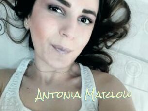 Antonia_Marlow Porn Monkey Cash