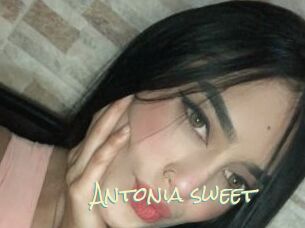 Antonia_sweet