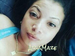 Aria_Maze
