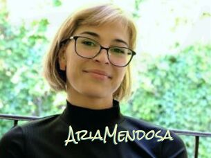 AriaMendosa