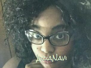 AriaNavi