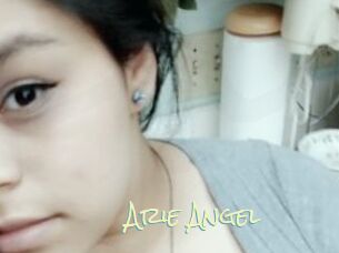 Arie_Angel