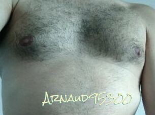 Arnaud95300