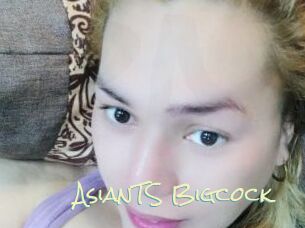 AsianTS_Bigcock