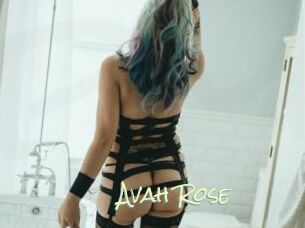 Avah_Rose
