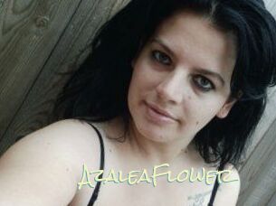 AzaleaFlower