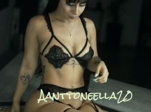 Aanttoneella20