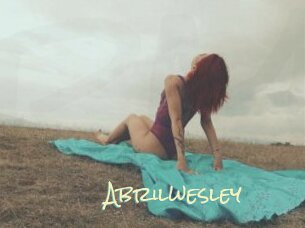 abrilwesley Porn Monkey Cash