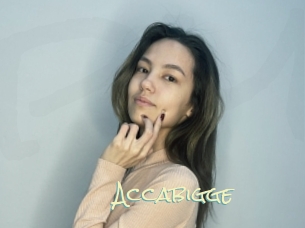 Accabigge