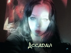Accadavi