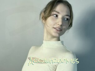 Accagroomes