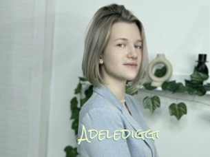 Adelediggi