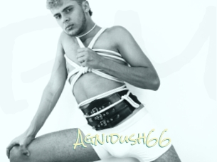 Agnidush66