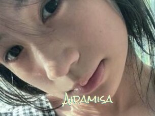 Aidamisa