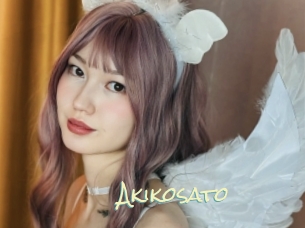 akikosato Porn Monkey Cash