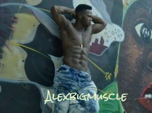 Alexbigmuscle