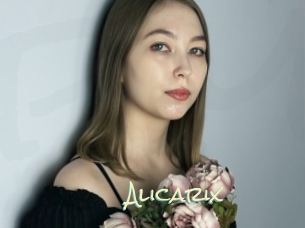 Alicarix