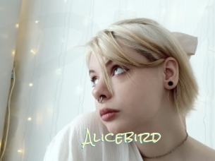 Alicebird
