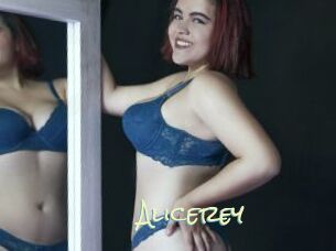 Alicerey