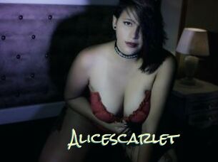 alicescarlet Porn Monkey Cash