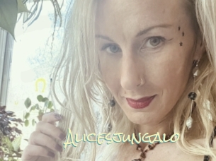 alicesjungalo Porn Monkey Cash