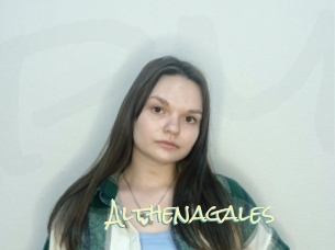 Althenagales