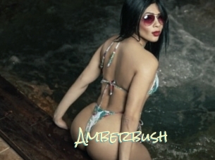 Amberbush