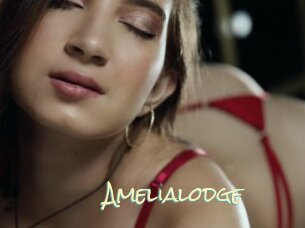 Amelialodge