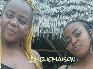 Ameliemaison