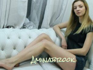 Aminabrook