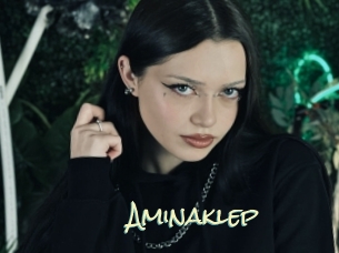 Aminaklep