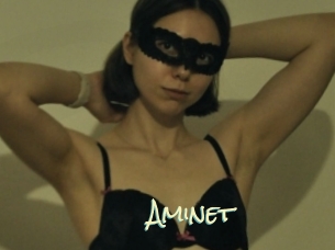 Aminet
